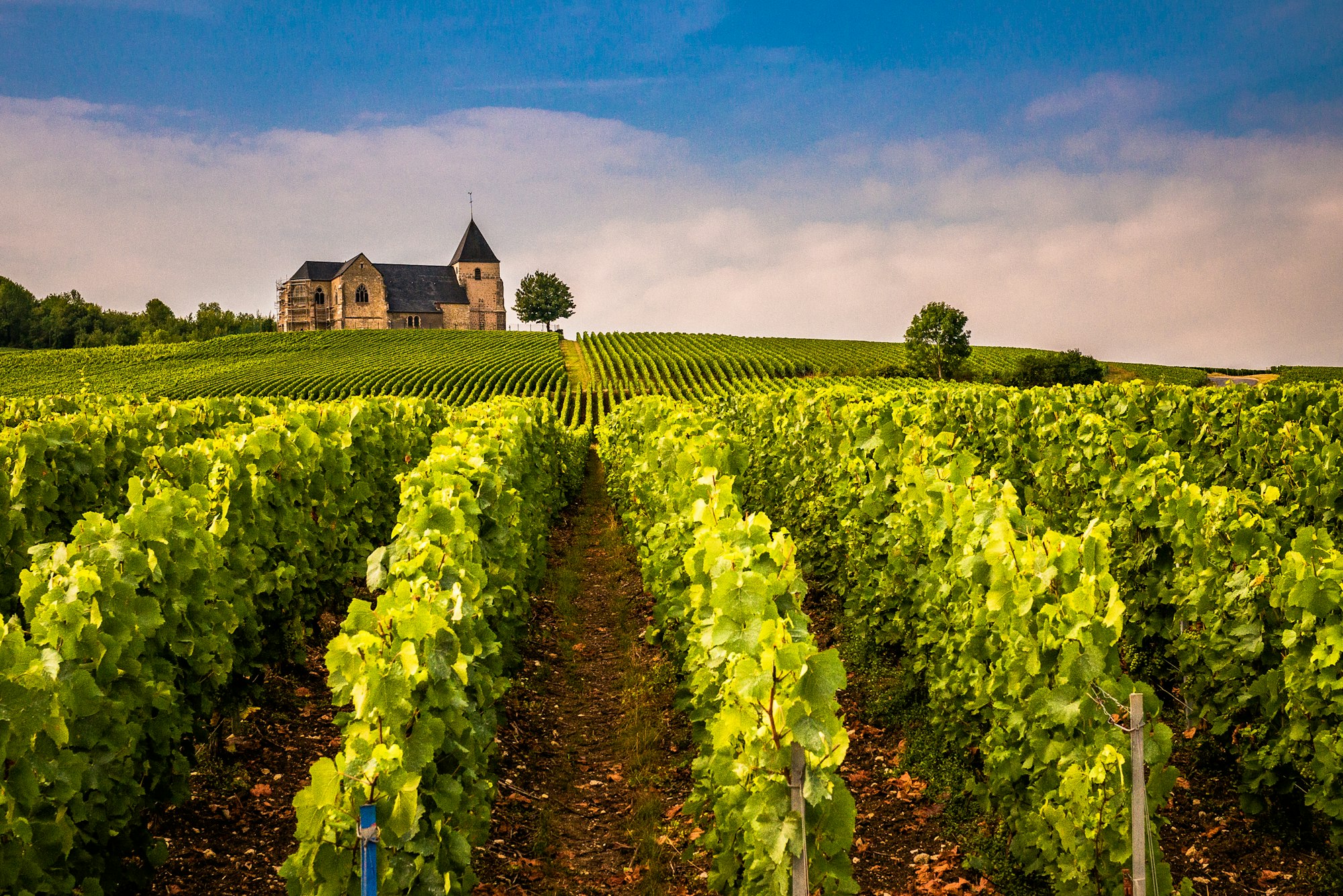 Reims: the Domaine Les Crayères, art de vivre on the Saint-Nicaise hill