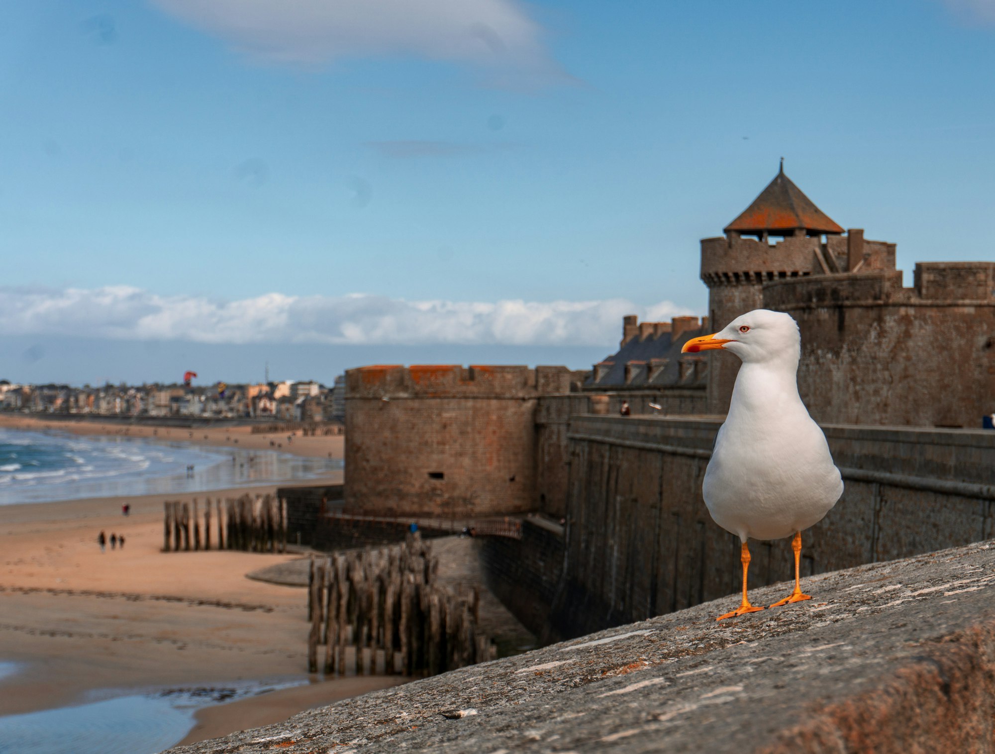 Saint-Malo: Le Valmarin, the soul of an 18th-century malouinière