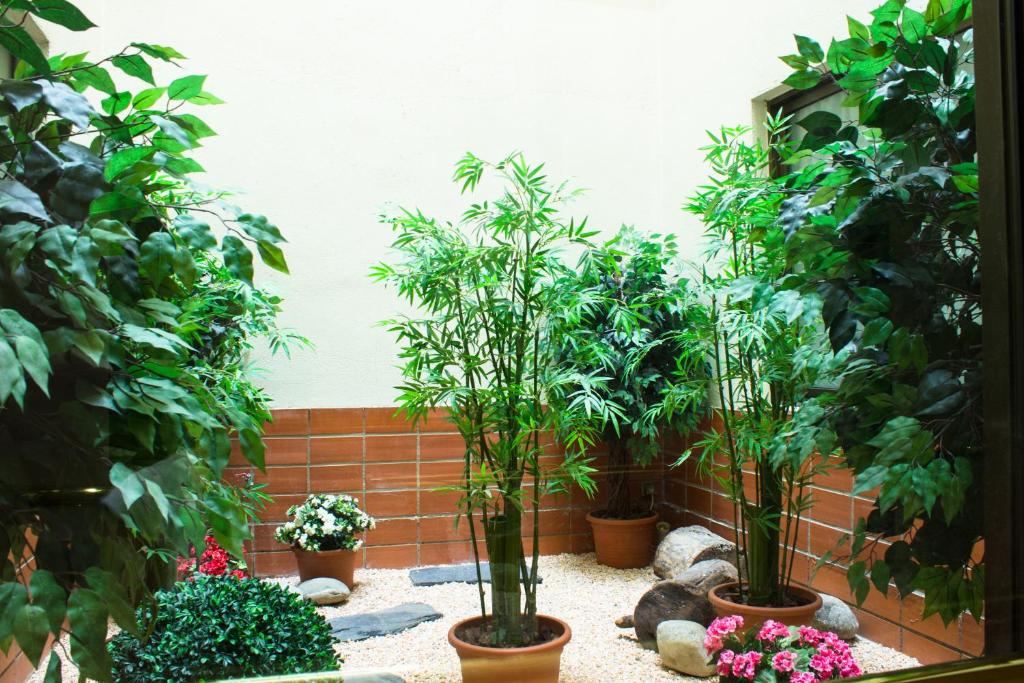 Fotografie n° 45/45