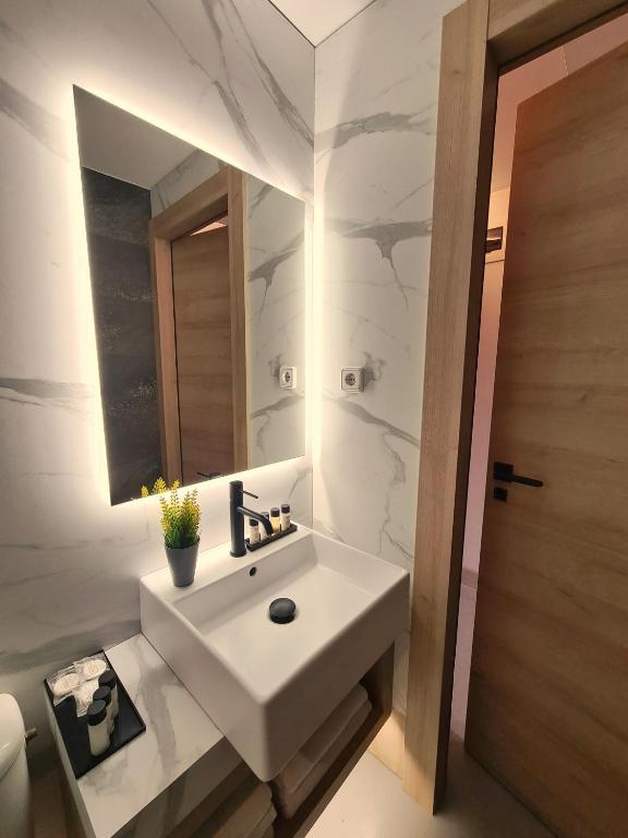 Fotografia n° 11/45