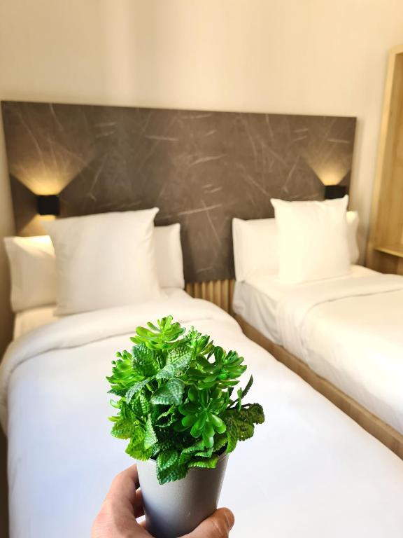 Fotografia n° 23/45