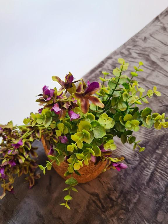 Fotografia n° 27/45