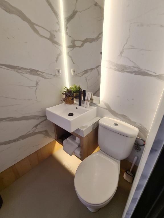 Fotografia n° 41/45