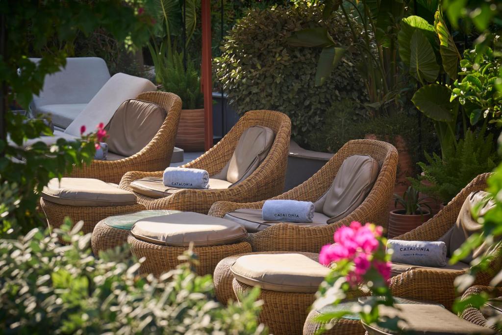 Fotografia n° 36/45