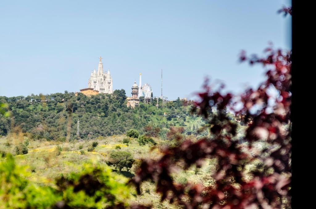 Fotografia n° 23/38