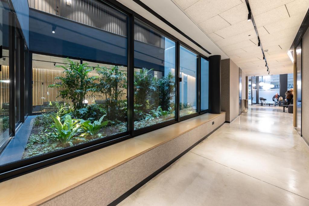 Fotografia n° 24/45