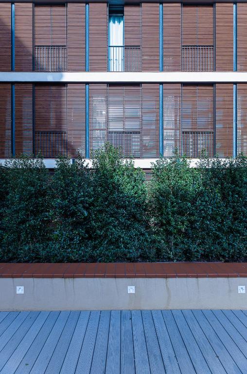 Fotografia n° 31/45