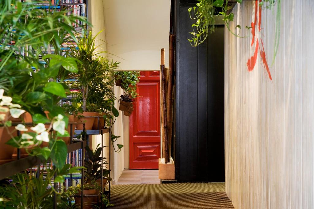 Fotografia n° 11/45