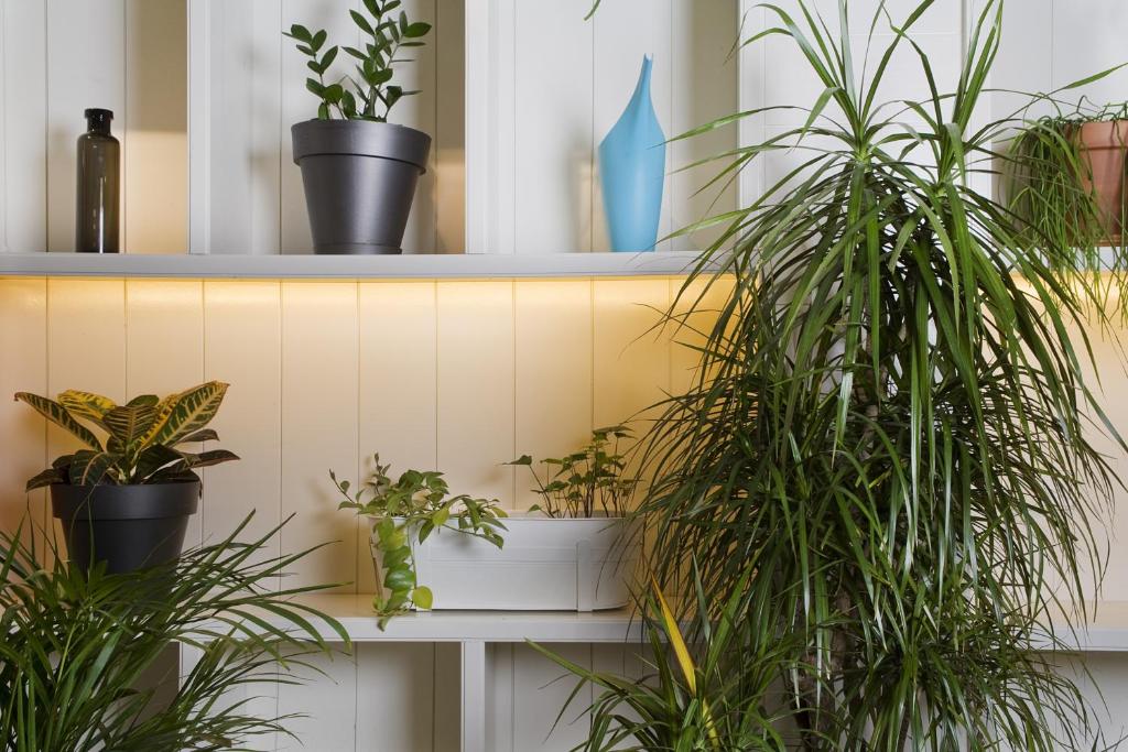 Fotografia n° 20/45