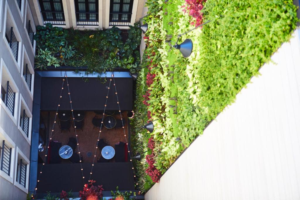 Fotografie n° 23/45