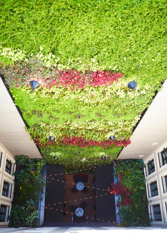 Fotografie n° 24/45