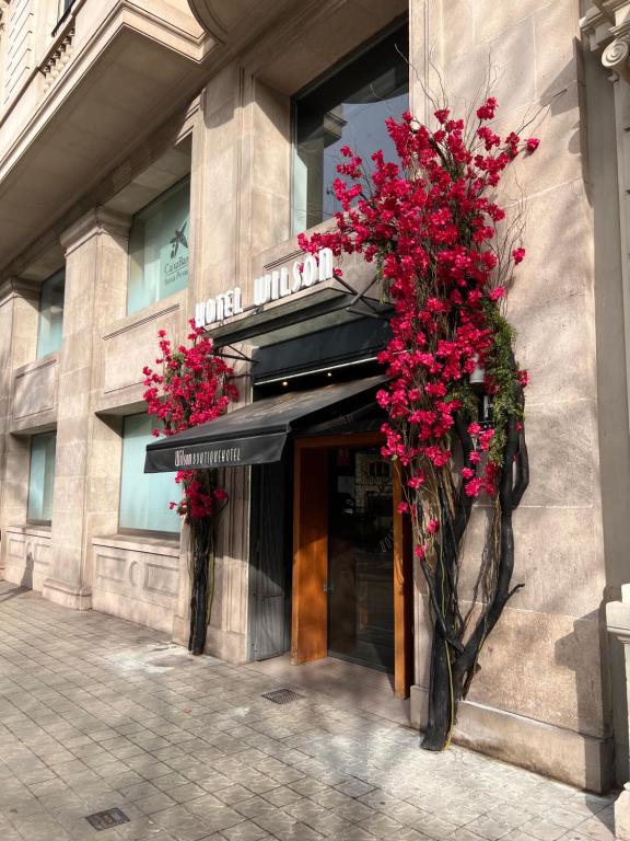 Fotografie n° 37/45