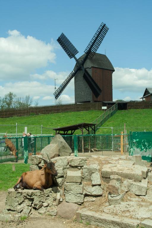Photo 35/35