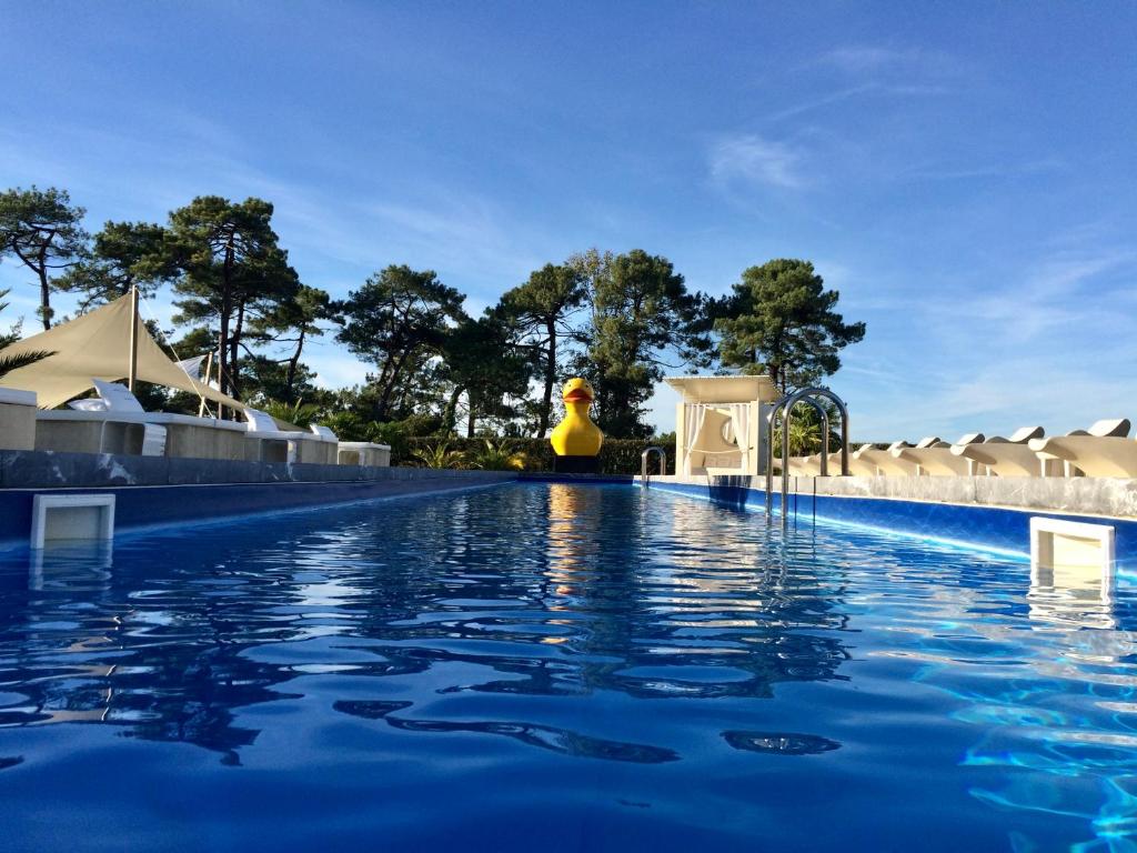 Fotografie n° 16/45