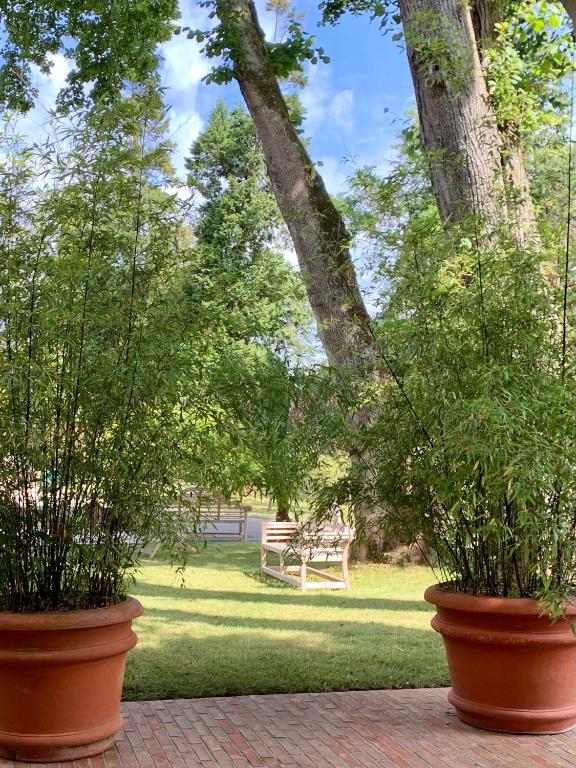 Fotografie n° 39/45