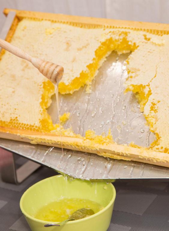 Fotografie n° 19/45