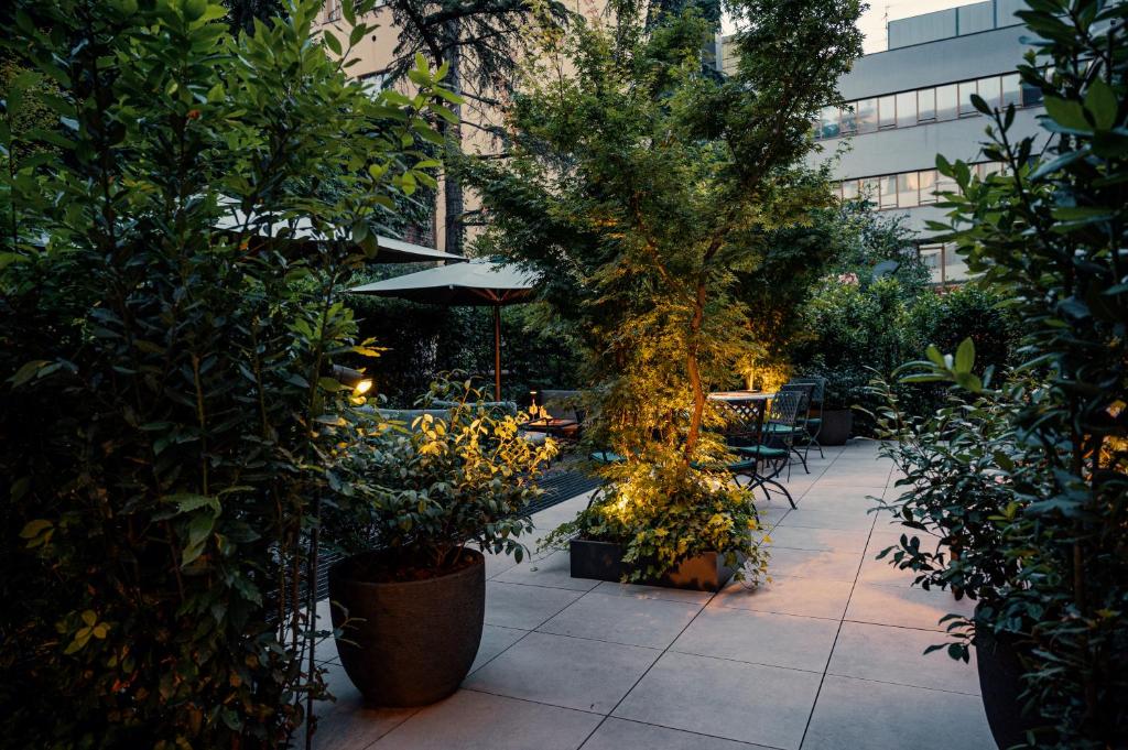 Fotografie n° 19/24