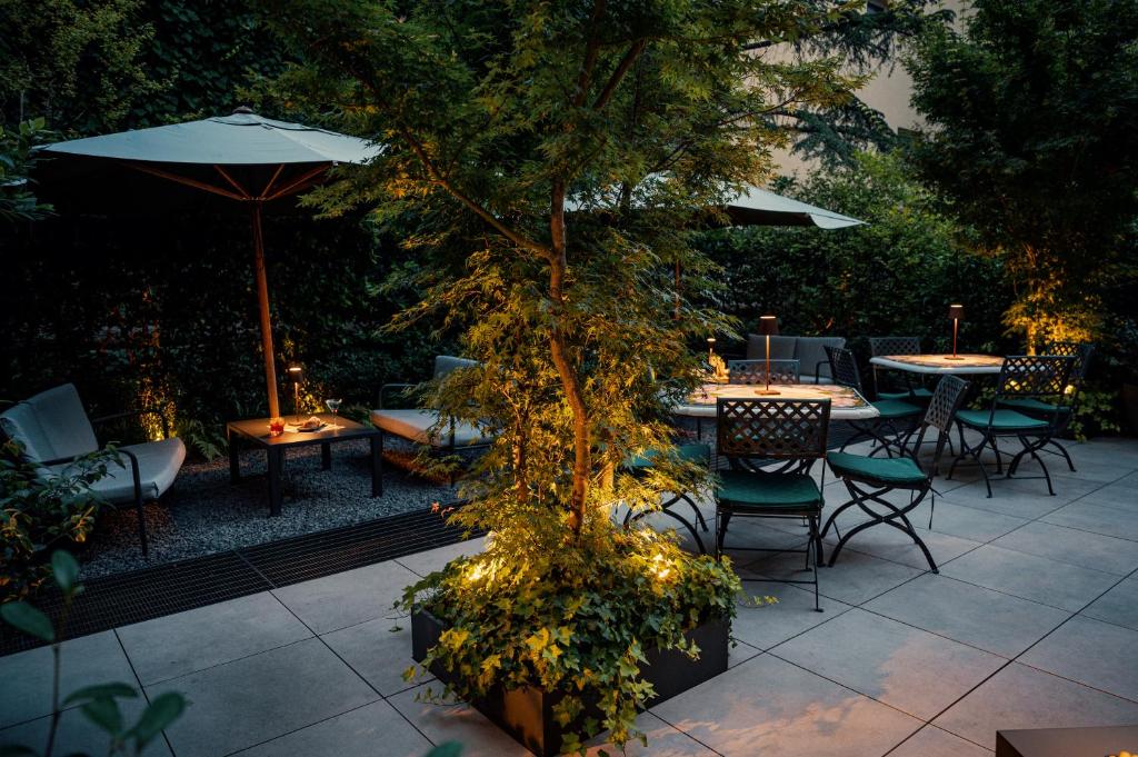 Fotografie n° 20/24