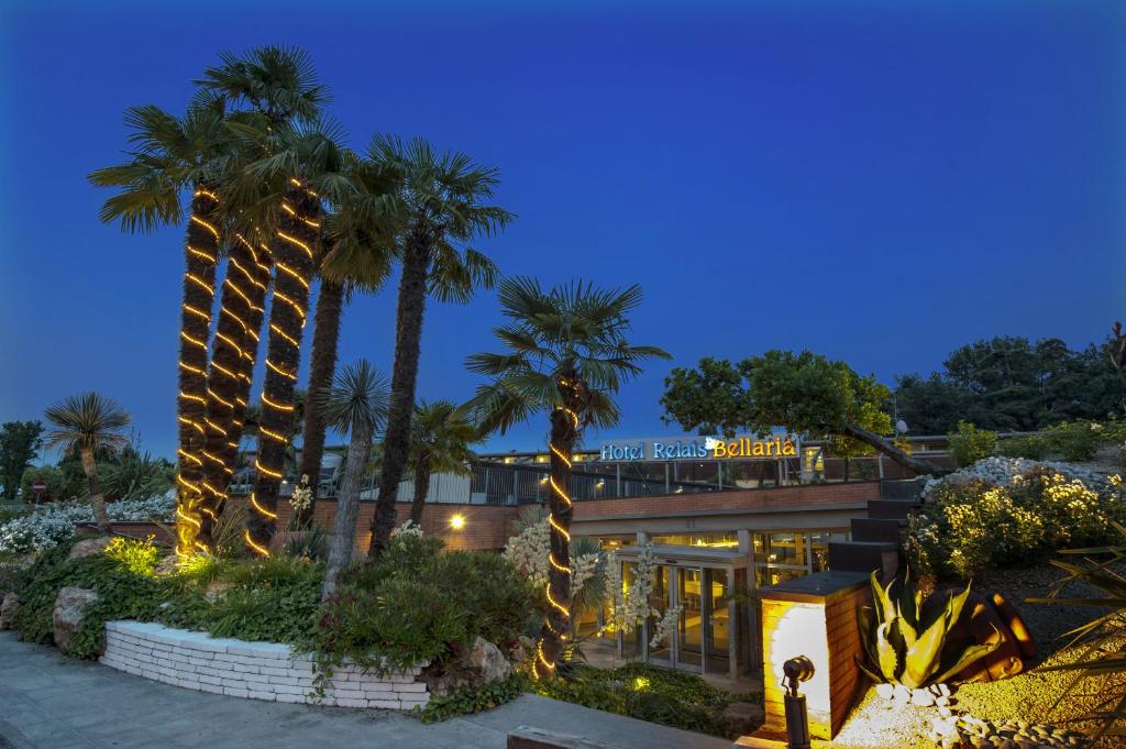 Fotografie n° 41/45