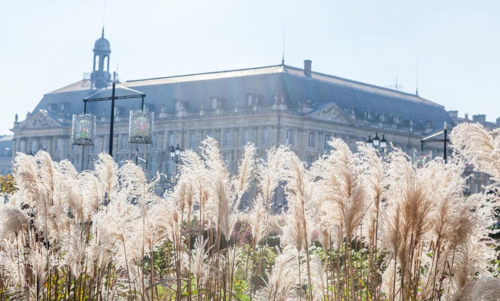 Fotografia n° 12/45