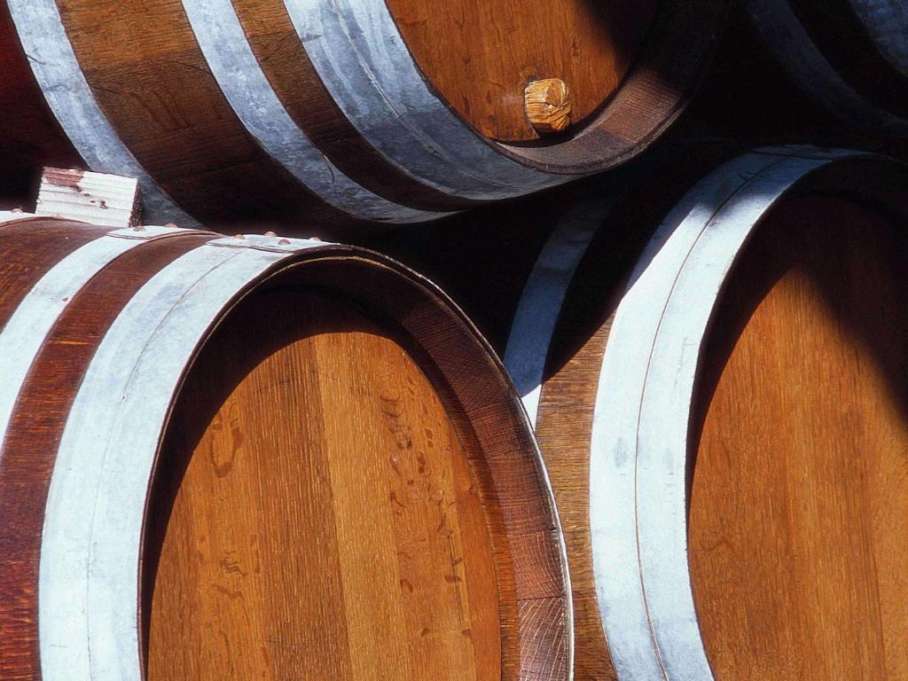 Fotografia n° 13/45