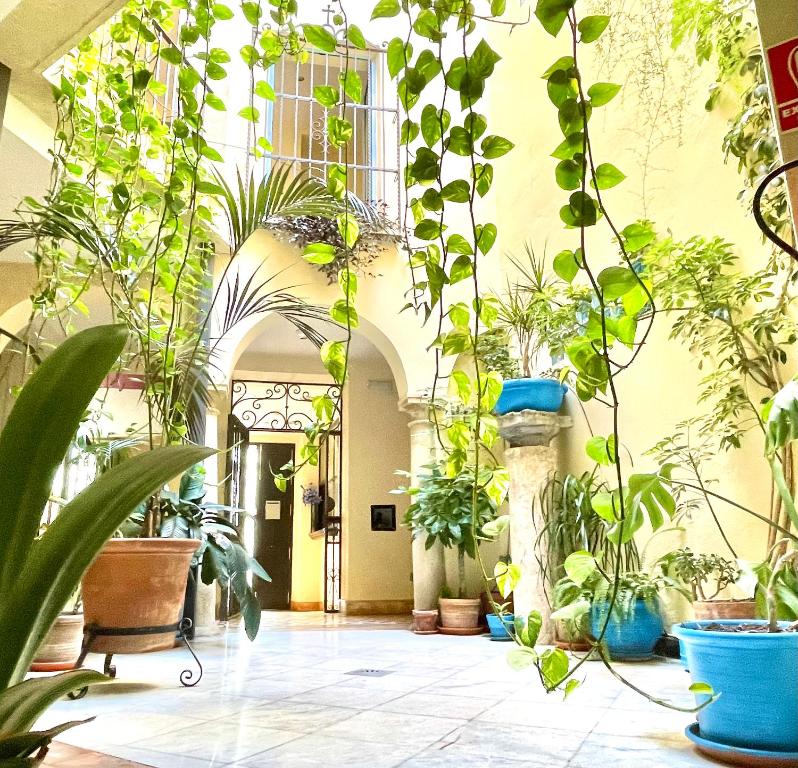 Fotografie n° 28/45