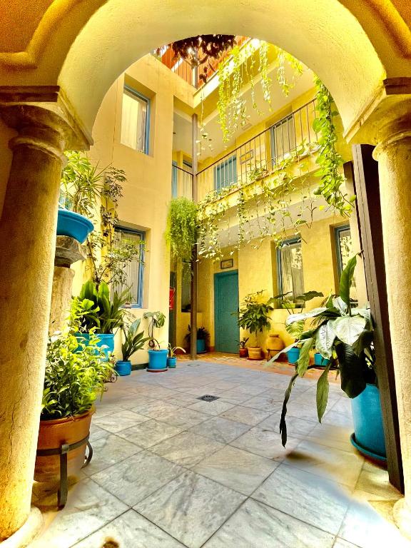 Fotografie n° 30/45