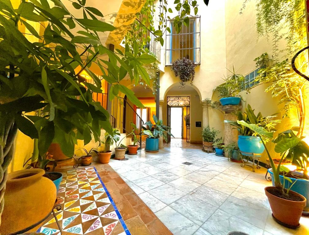 Fotografie n° 31/45