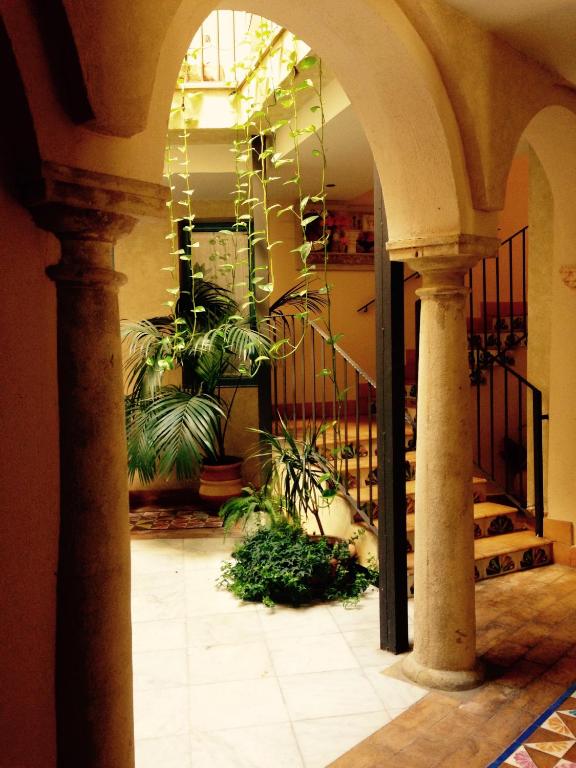 Fotografie n° 33/45