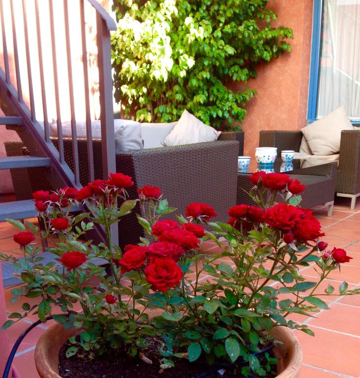 Fotografie n° 41/45