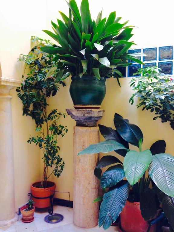 Fotografie n° 44/45