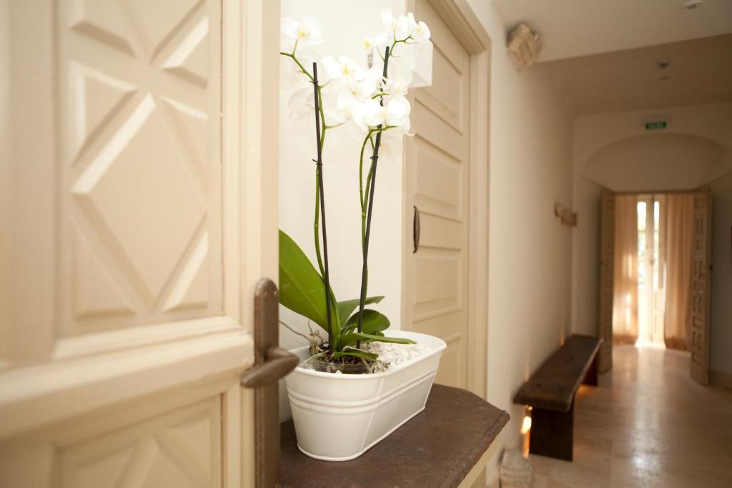 Fotografie n° 32/45