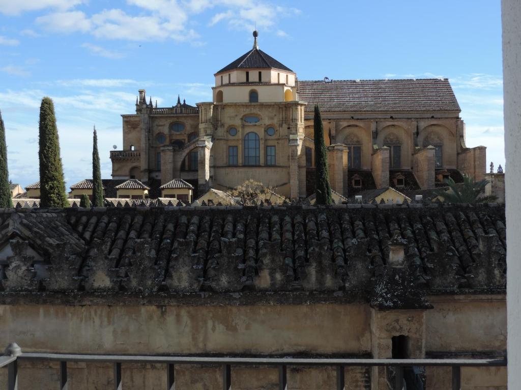 Fotografie n° 11/45