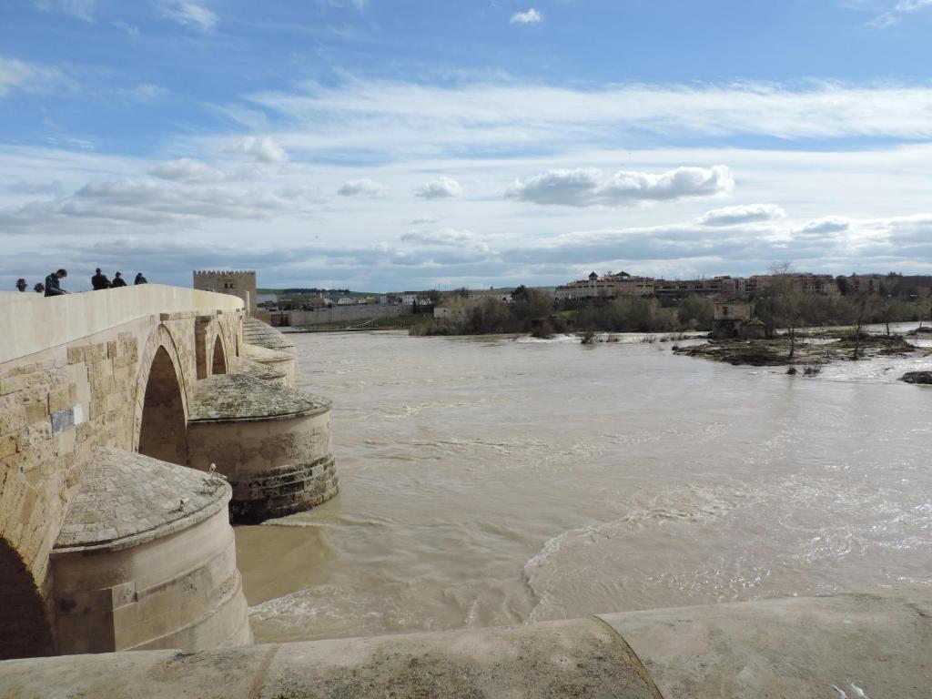 Fotografie n° 13/45