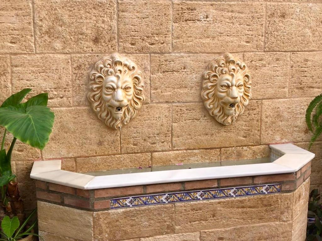 Fotografie n° 16/44