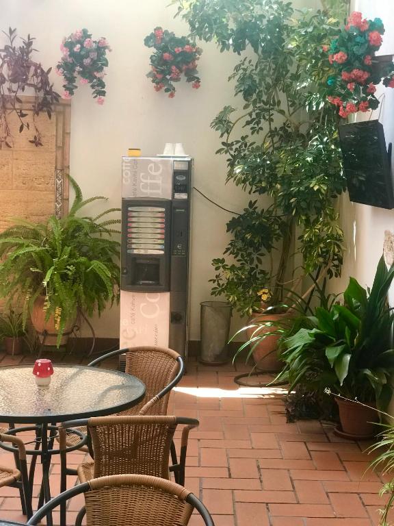 Fotografie n° 20/44