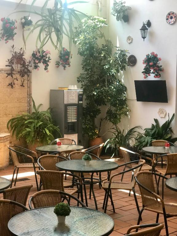 Fotografie n° 22/44