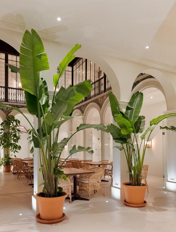 Fotografie n° 19/45