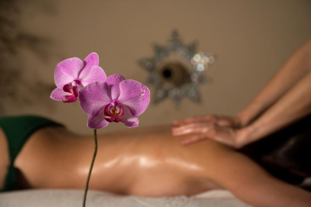 Fotografie n° 37/45