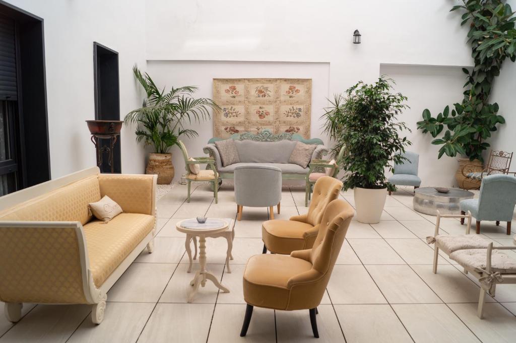 Fotografie n° 43/45