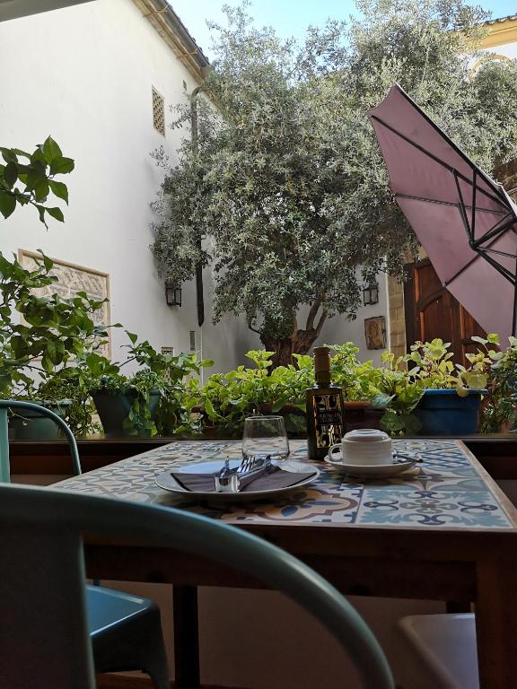 Fotografie n° 10/45