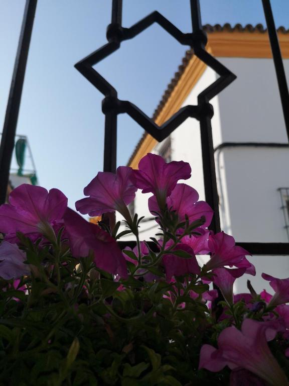 Fotografie n° 27/45