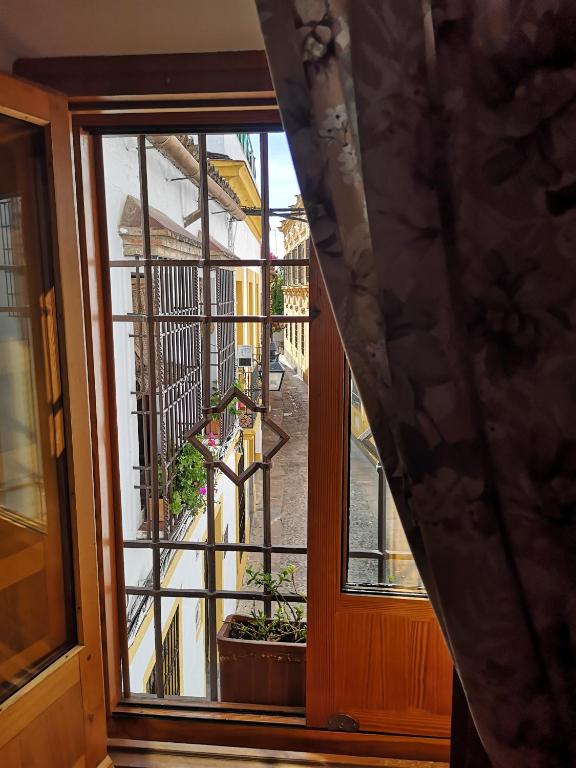 Fotografie n° 29/45