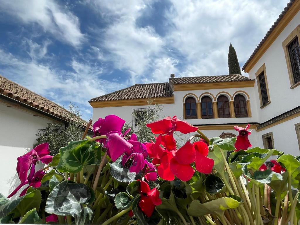 Fotografie n° 39/45