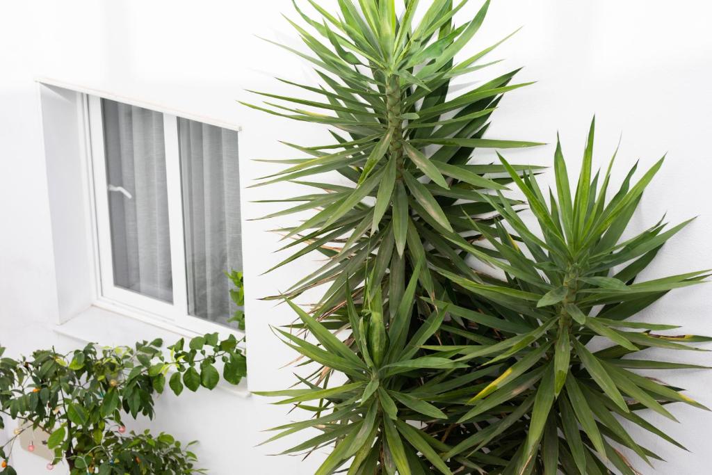 Fotografie n° 22/36