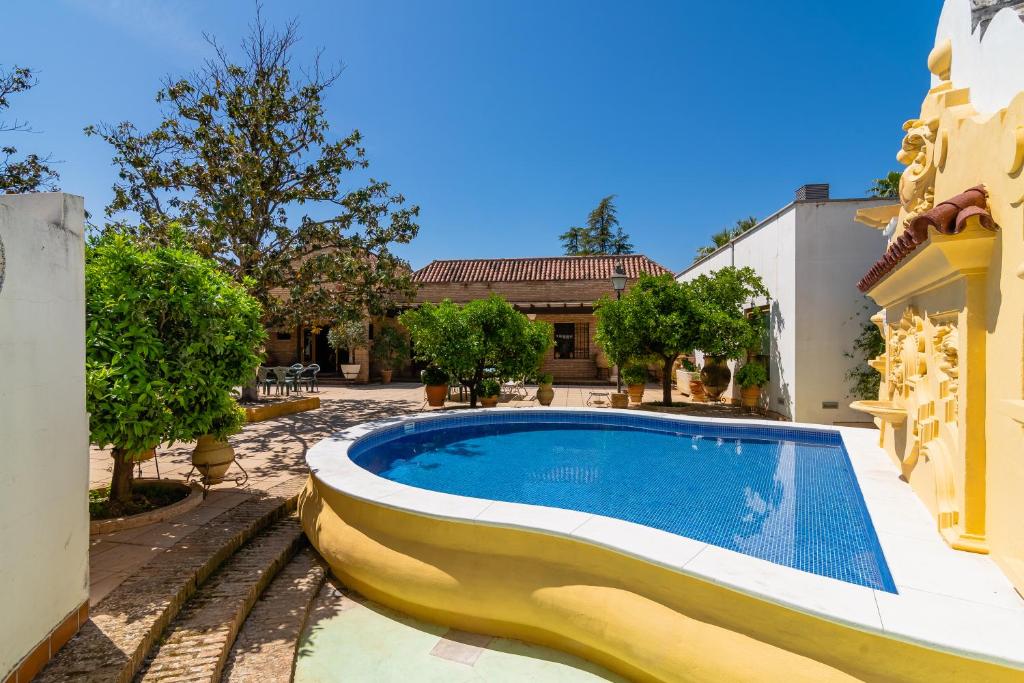 Fotografie n° 19/45