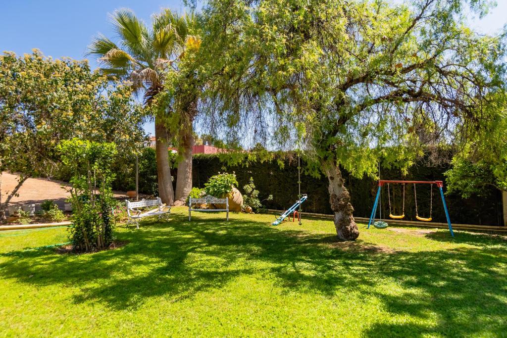 Fotografie n° 29/45