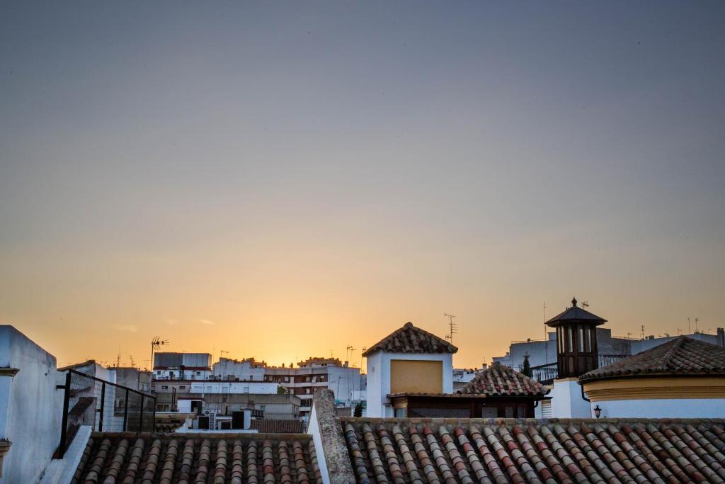 Fotografie n° 11/45