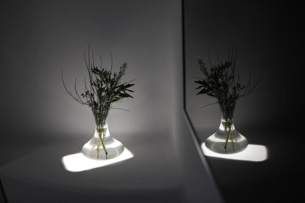 Fotografie n° 22/45