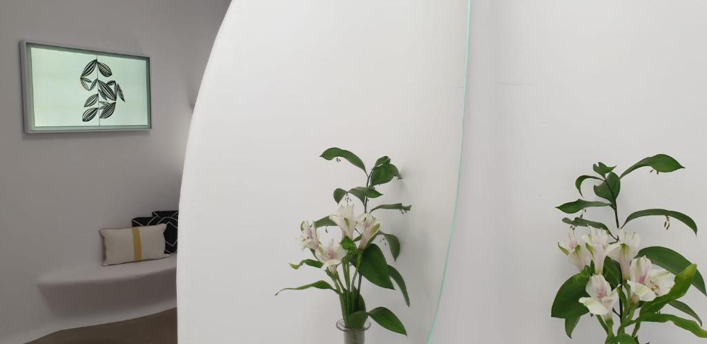 Fotografie n° 26/45